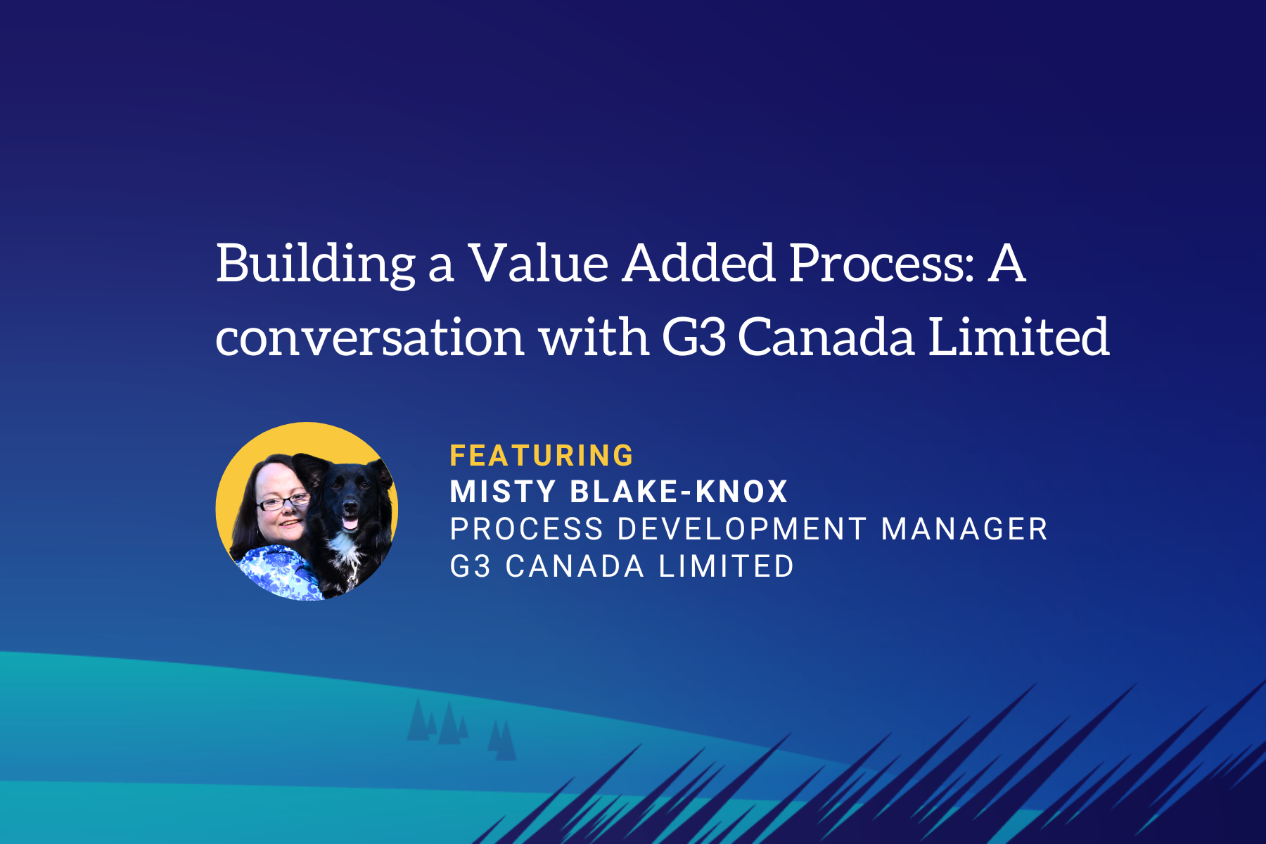 Building a Value Added Process