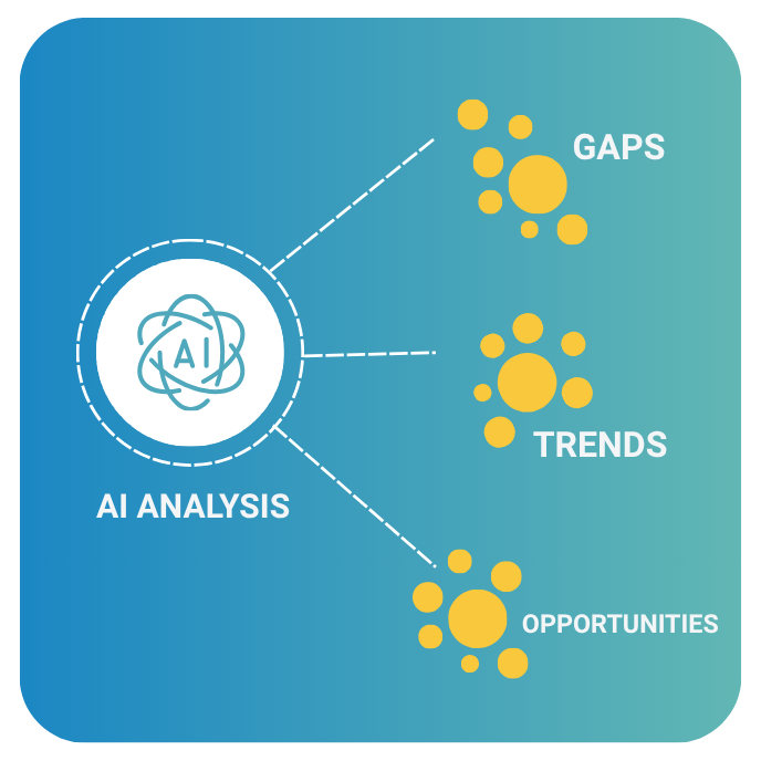 4. Findings & Analysis